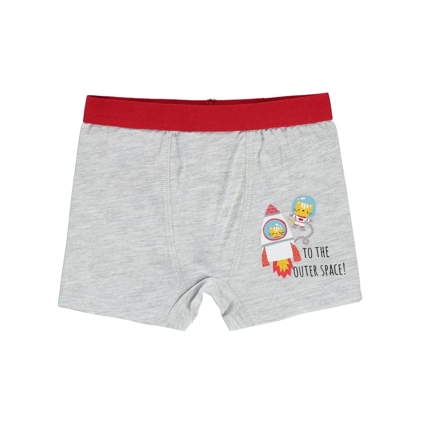 Civil Baby Erkek Bebek Boxer 9-18 Ay