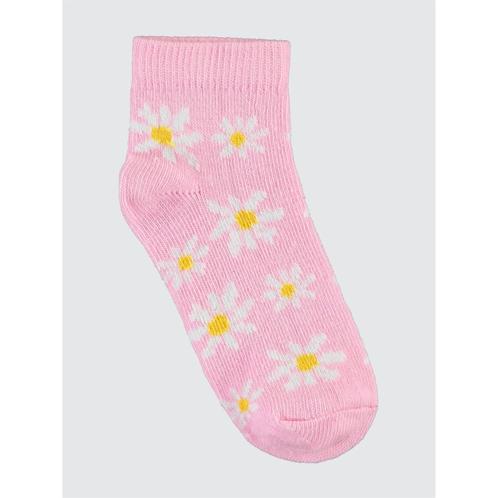 Civil Girls Papatya 3'lü 2-12 Yaş Kız Patik Çorap