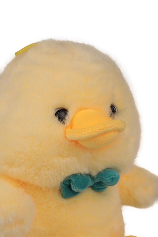 Can Oyuncak Sarı Ördek