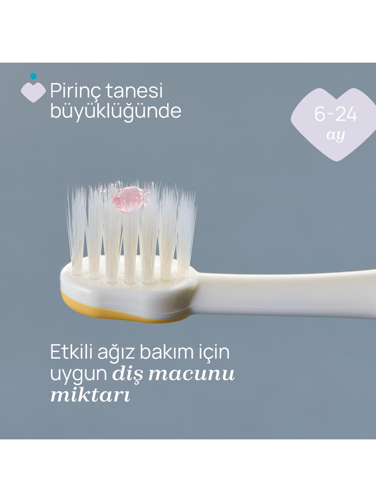 Chicco 2'Li Diş Fırçası 6-36 Ay - Mavi
