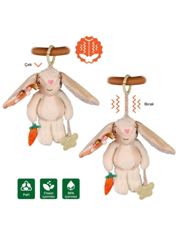 Been My Vibrating Travel Friend Rabbit / Titreşimli Yol Arkadaşım Tavşan