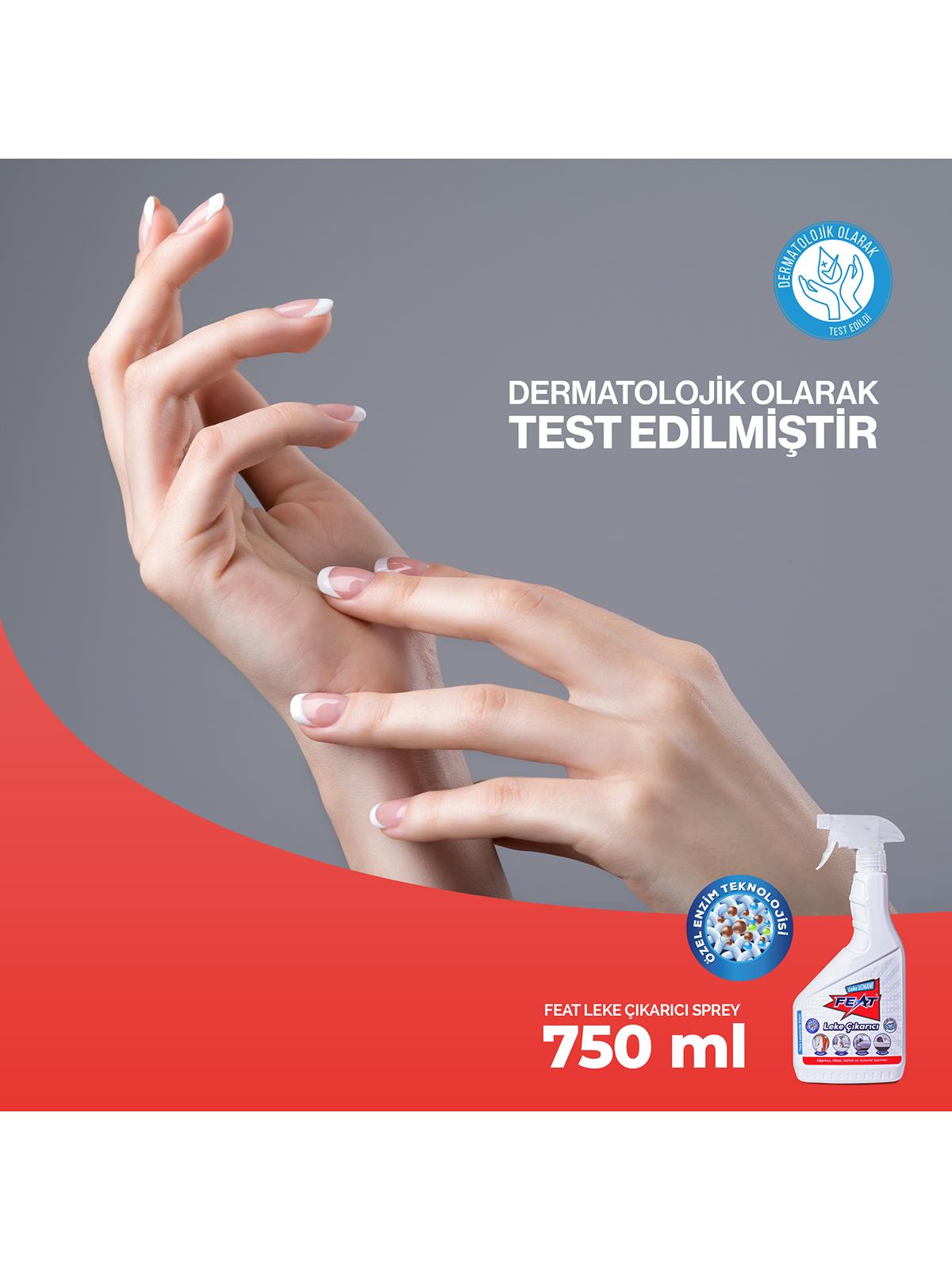 Feat Leke Çıkarıcı Sprey 750 ml