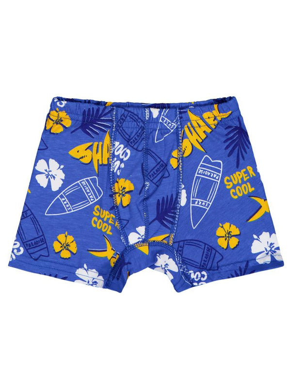 Domi Kids Shark  2-8 Yaş Erkek Çocuk 2'li Boxer