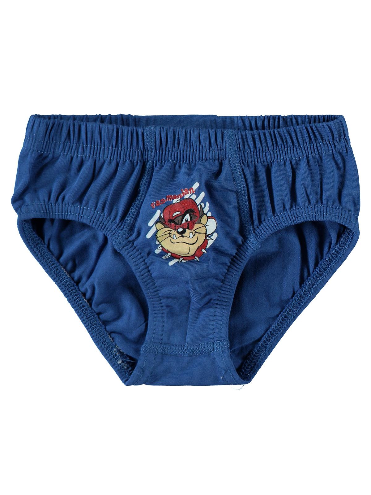 Taz 2-10 Yaş Çocuk Erkek Külot