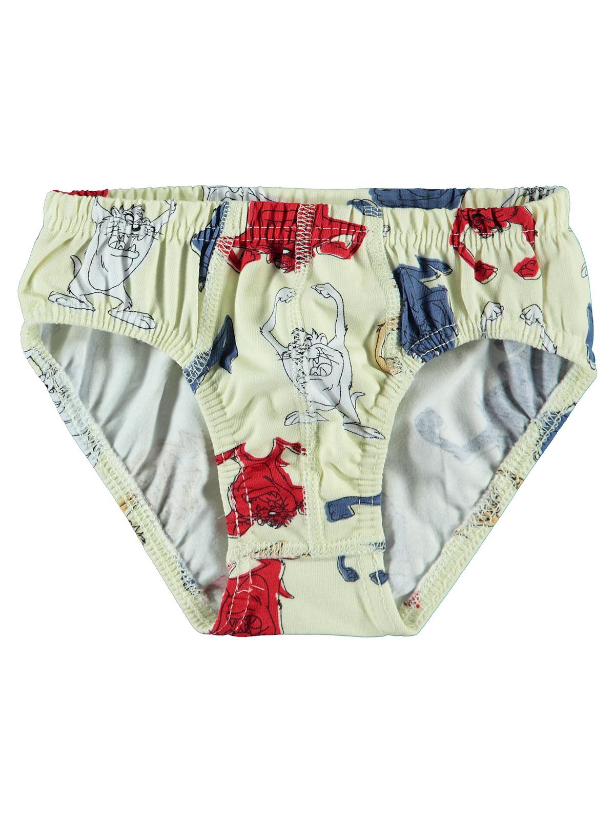 Taz 2-10 Yaş Çocuk Erkek Külot