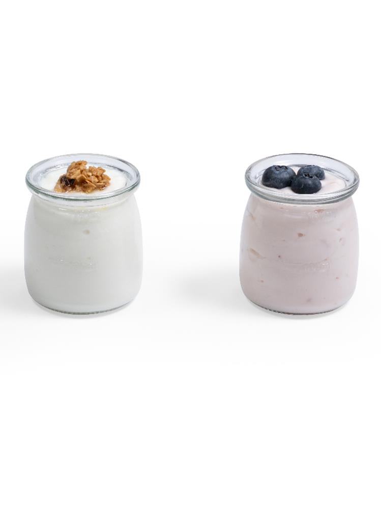 Kanz Yoğurt Yapma Makinesi