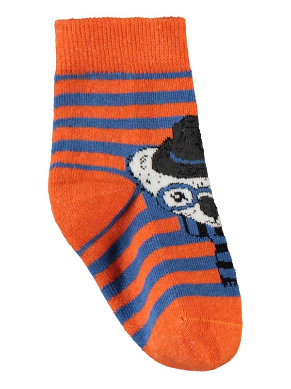 Civil Boys Cool Animal 3'lü 2-12 Yaş Erkek Soket Çorap