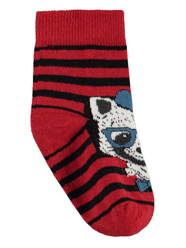 Civil Boys Cool Animal 3'lü 2-12 Yaş Erkek Soket Çorap