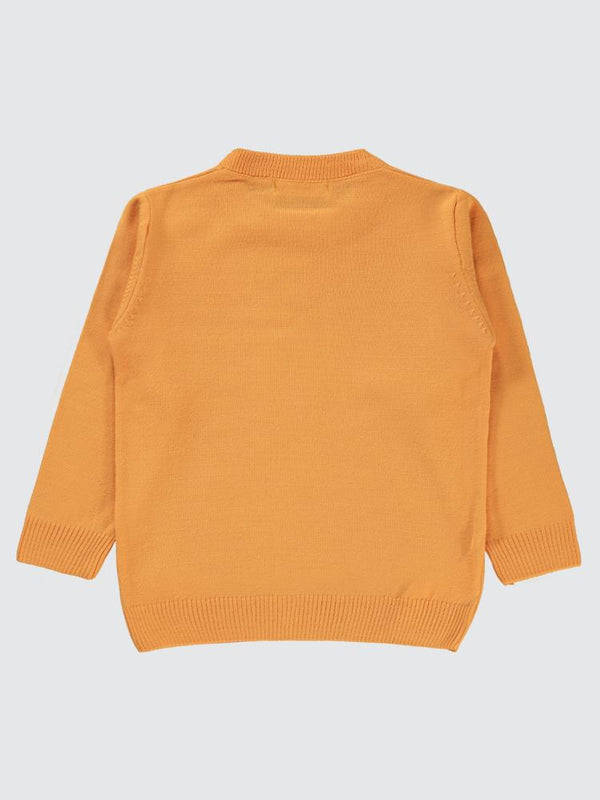 Civil Boys Basic 2-5 Yaş Kazak - Hardal