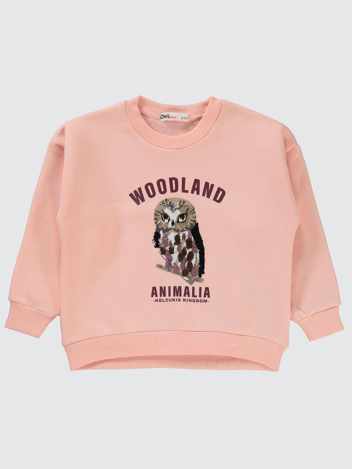 Civil Girls Pullu Baykuş Baskılı 2-5 Yaş Sweatshirt - Pudra