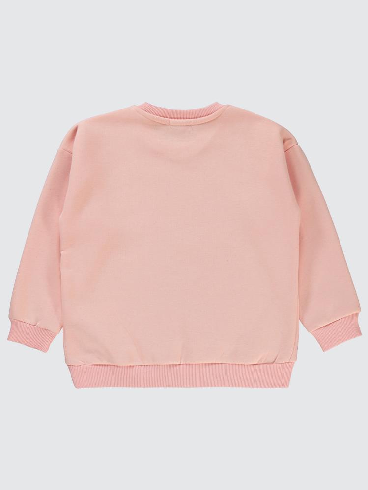 Civil Girls Pullu Baykuş Baskılı 6-9 Yaş Sweatshirt - Pudra