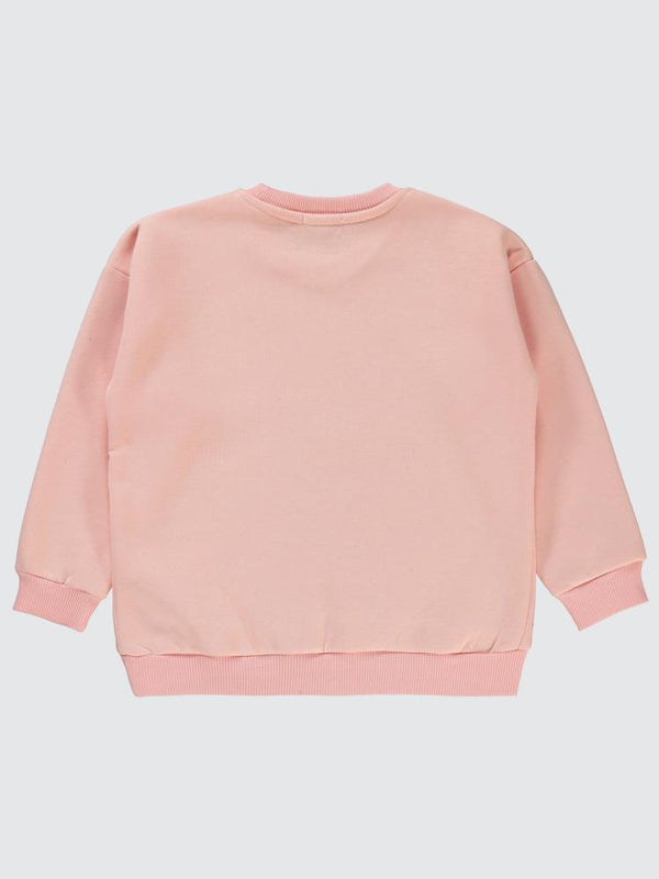 Civil Girls Pullu Baykuş Baskılı 10-13 Yaş Sweatshirt - Pudra