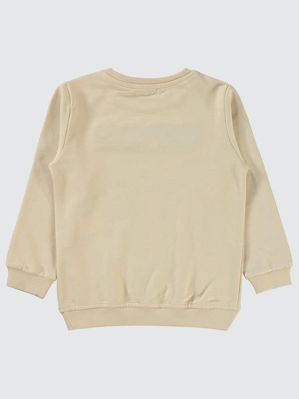 Civil Boys Raptor Dinazor Baskılı 2-5 Yaş Sweatshirt - Gri