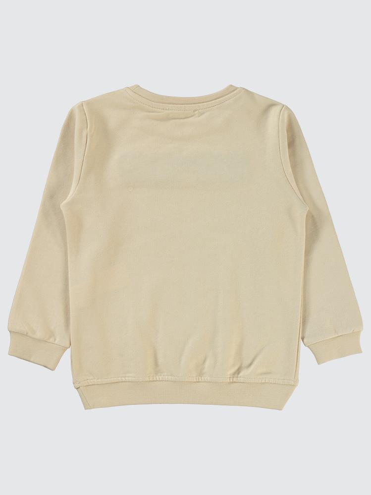 Civil Boys Raptor Dinazor Baskılı 2-5 Yaş Sweatshirt - Gri