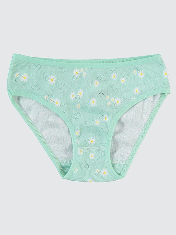 Civil Girls Pembe-Mint Çiçek Baskılı Jakarlı Derbili 2-10 Yaş 2'li Külot Set - Yeşil