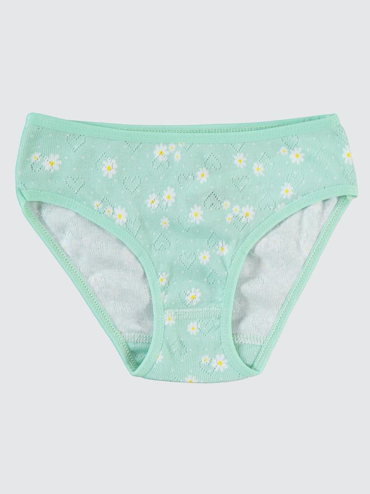 Civil Girls Pembe-Mint Çiçek Baskılı Jakarlı Derbili 2-10 Yaş 2'li Külot Set - Yeşil