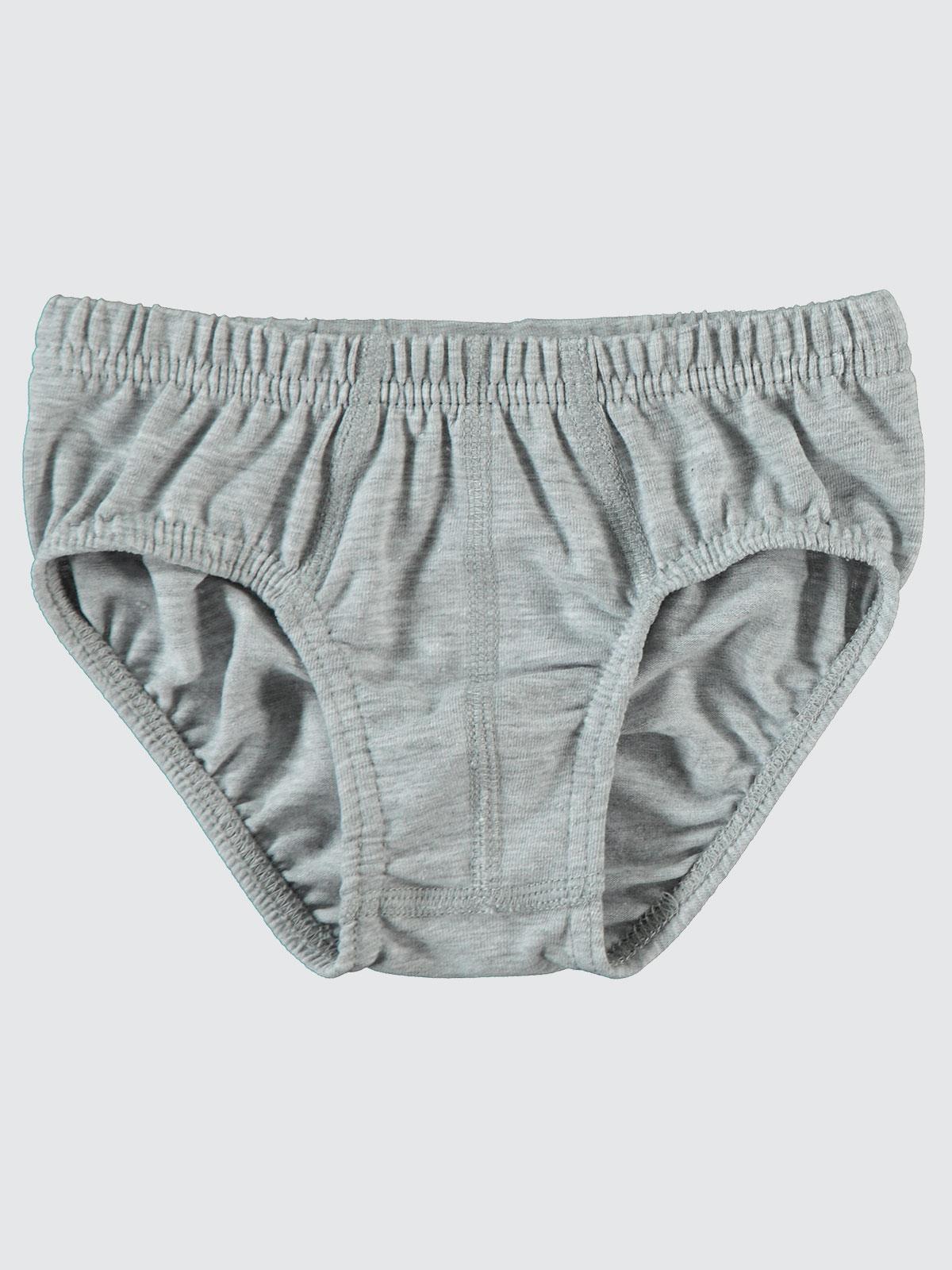 Civil Boys  Basic 2-10 Yaş 2'li Külot Set - Gri