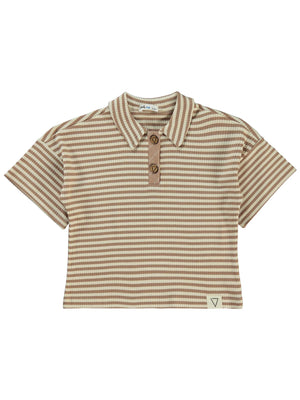 Civil Boys Çizgili Yakalı 2-5 Yaş Tişört - Kahverengi