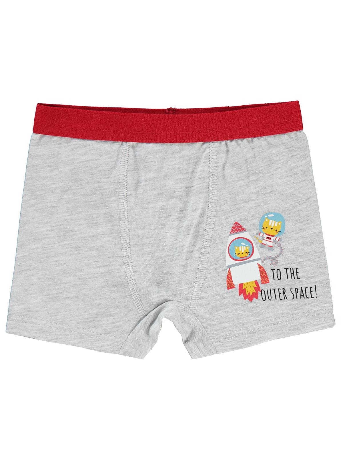 Civil Baby Erkek Bebek Boxer 9-18 Ay