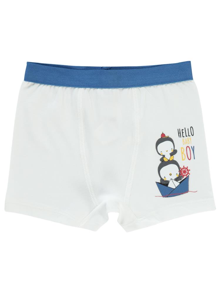 Civil Baby Erkek Bebek Boxer 9-18 Ay