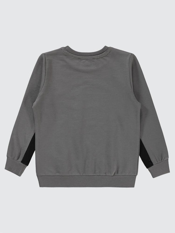 Civil Boys Dinozor Baskılı 2-5 Yaş Sweatshirt - Gri