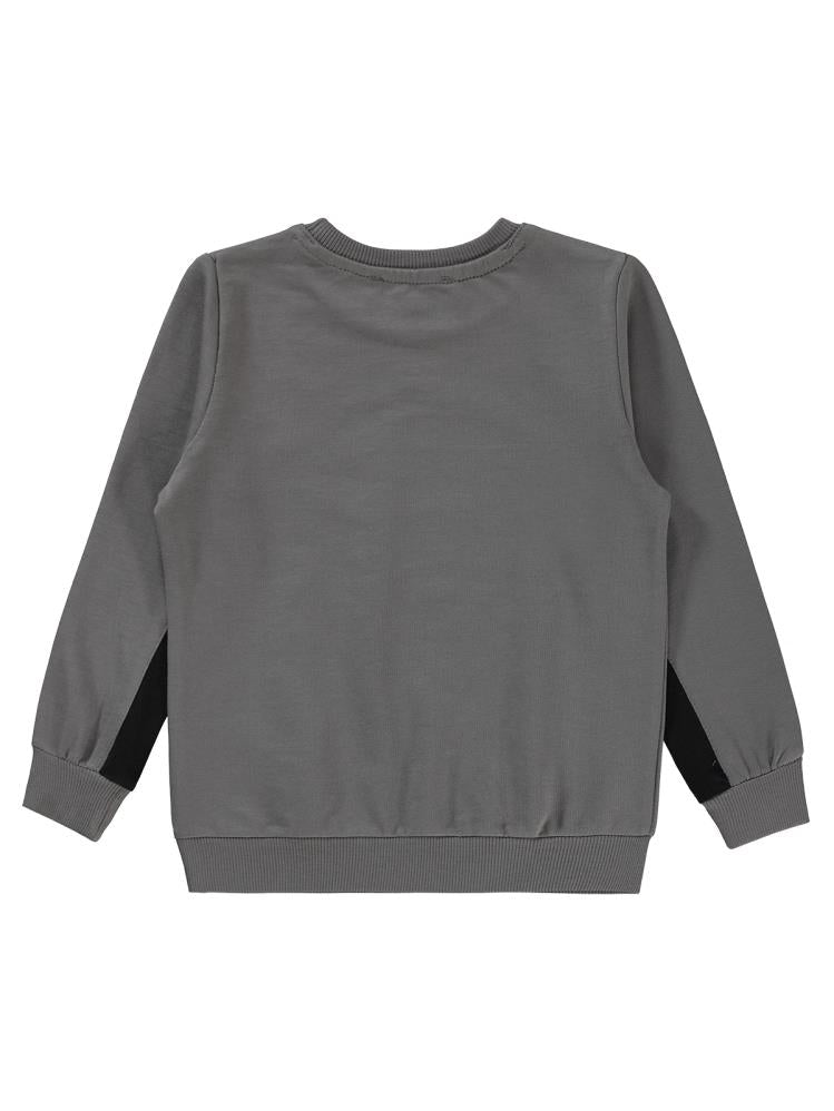 Civil Boys Dinozor Baskılı 2-5 Yaş Sweatshirt - Gri