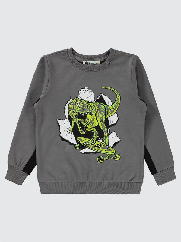 Civil Boys Dinozor Baskılı 2-5 Yaş Sweatshirt - Gri
