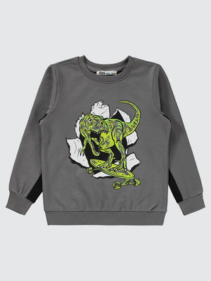 Civil Boys Dinozor Baskılı 2-5 Yaş Sweatshirt - Gri