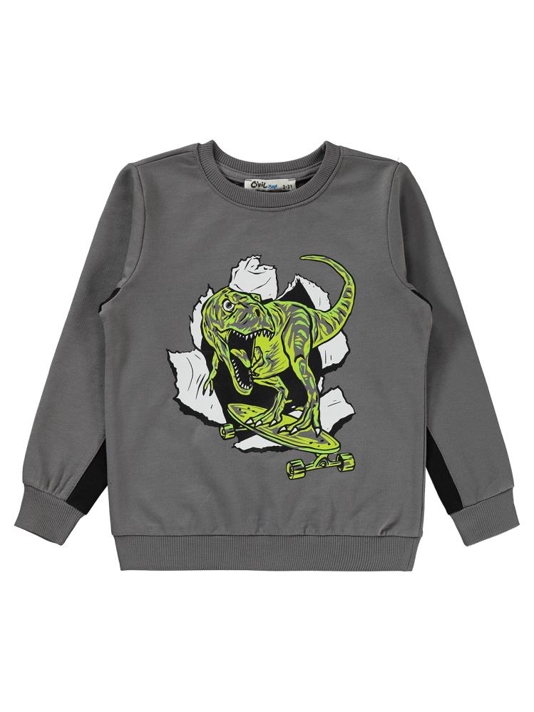 Civil Boys Dinozor Baskılı 2-5 Yaş Sweatshirt - Gri