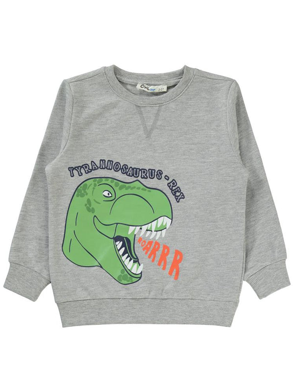 Civil Boys Dino Roar Baskılı 2-5 Yaş Sweatshirt - Gri