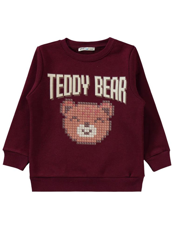 Civil Boys Teddy Bear Baskılı 2-5 Yaş Eşofman Takımı - Bordo