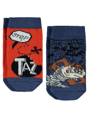 Tazmanya 2-12 Yaş Erkek Patik Çorap