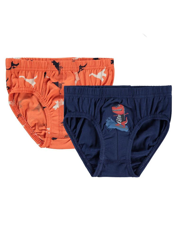 Civil Boys Dinazor 2-10 Yaş 2'li Külot Set