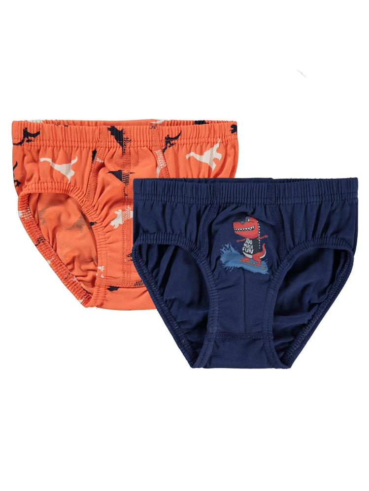 Civil Boys Dinazor 2-10 Yaş 2'li Külot Set