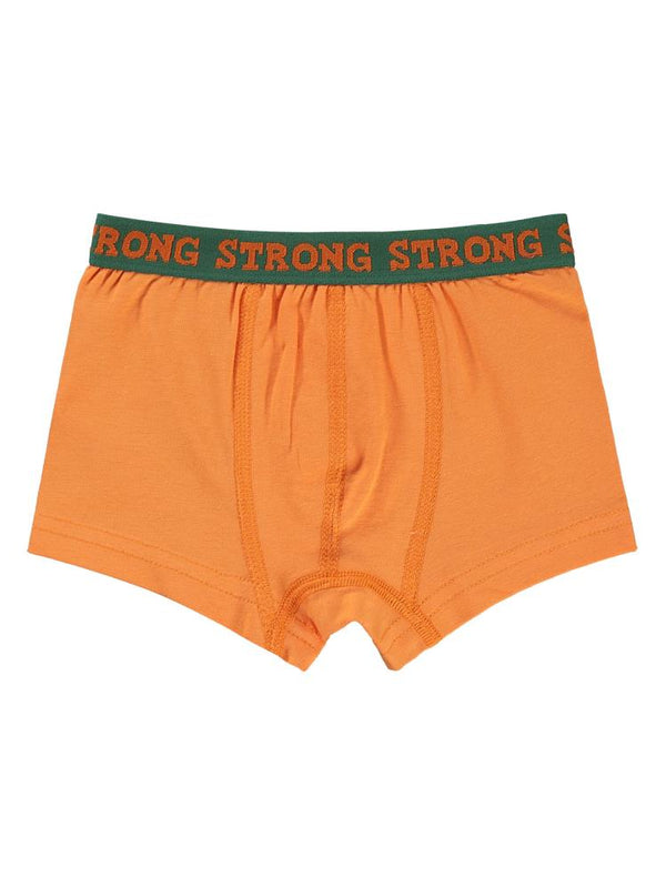 Civil Boys Strong  2-10 Yaş 3'lü Boxer Set