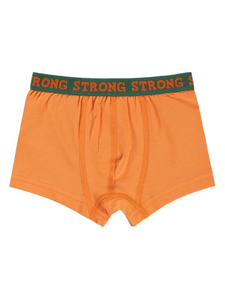 Civil Boys Strong  2-10 Yaş 3'lü Boxer Set