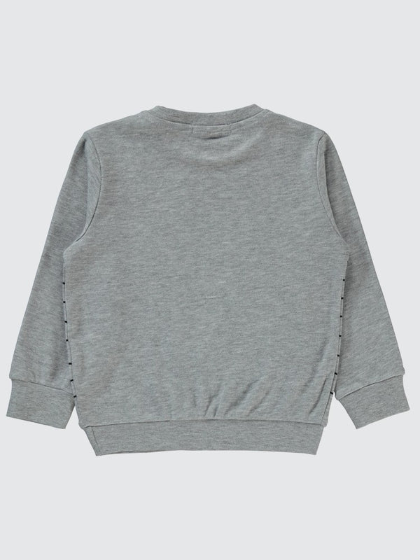 Civil Boys Çizgili Canavar Baskılı 2-5 Yaş Sweatshirt - Gri