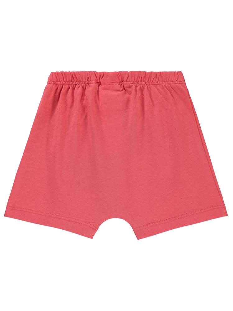 Civil Baby Ayı Surat Nakış Cepli 6-18 Ay Erkek Şort - Kırmızı