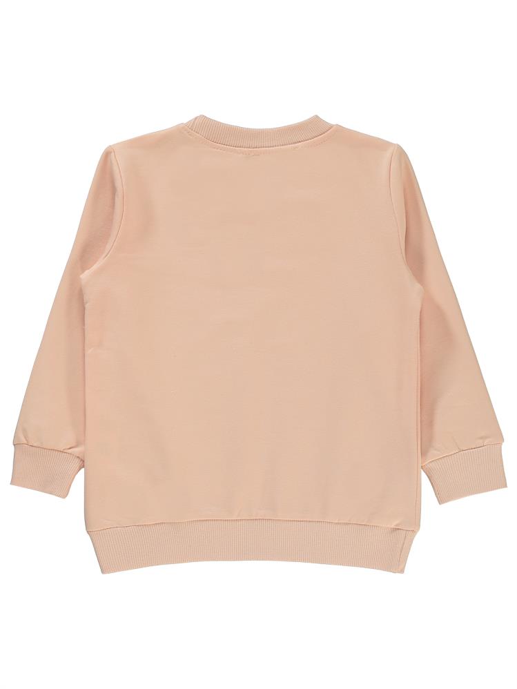 Tweety 2-5 Yaş Sweatshirt - Pembe