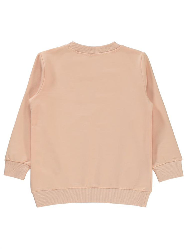 Tweety 2-5 Yaş Sweatshirt - Pembe