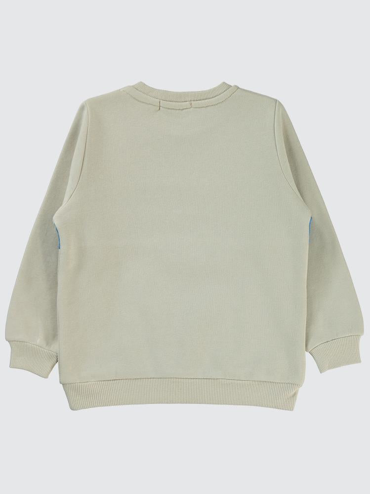 Civil Boys Cuddle Panda Baskılı 2-5 Yaş Sweatshirt - Bej