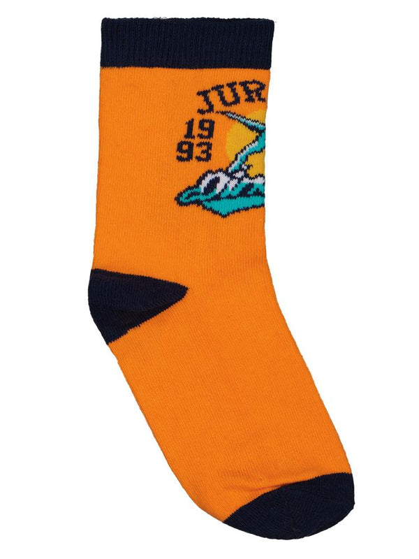 Civil Boys Dinosours 3'lü 2-12 Yaş Erkek Soket Çorap