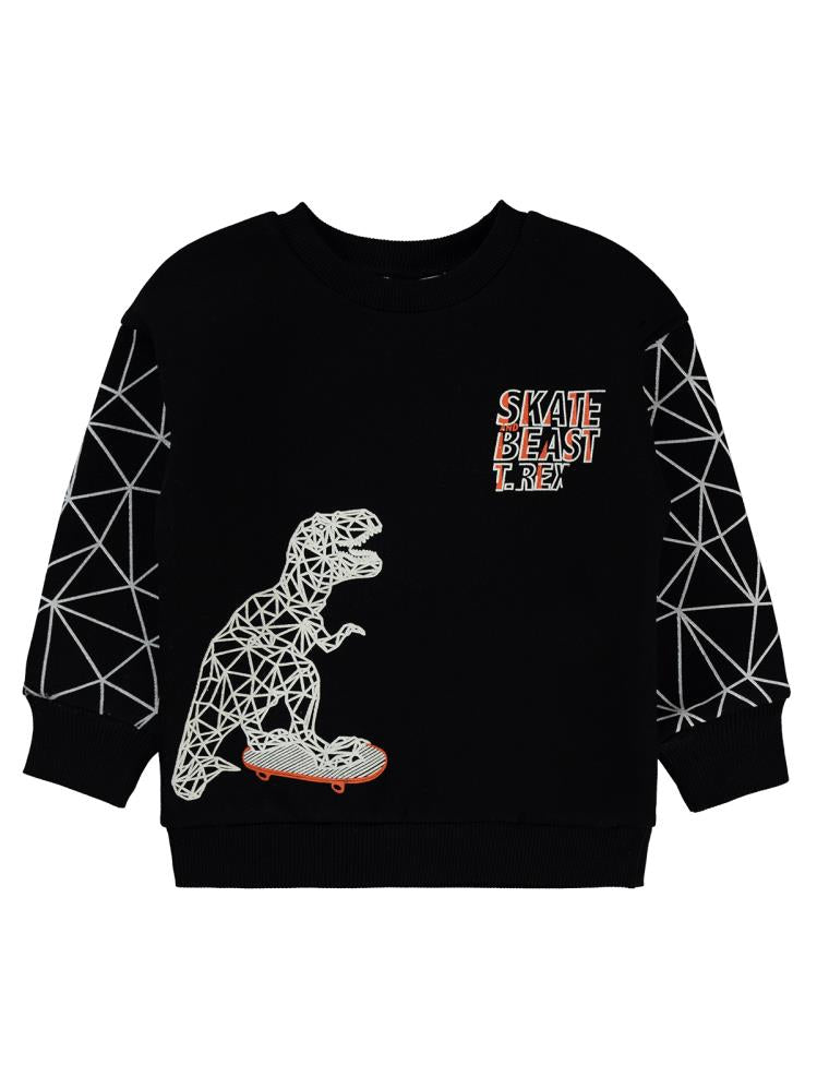 Civil Boys Dinazor Baskılı 2-5 Yaş Sweatshirt - Siyah