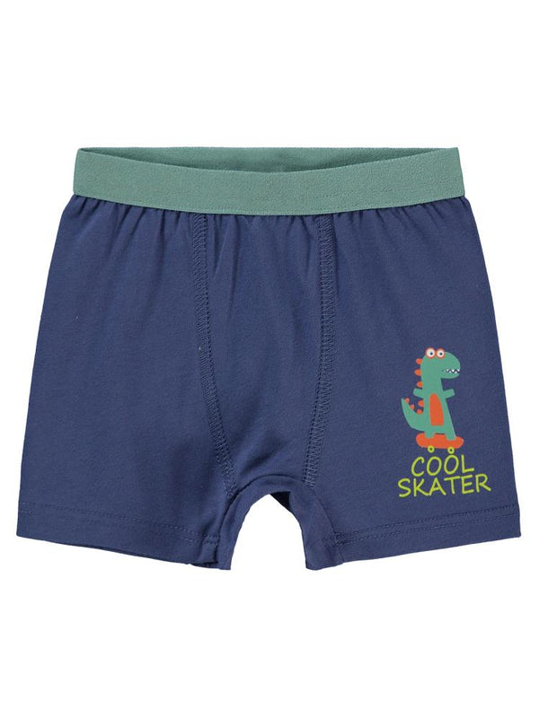 Civil Baby Erkek Bebek Boxer 9-18 Ay