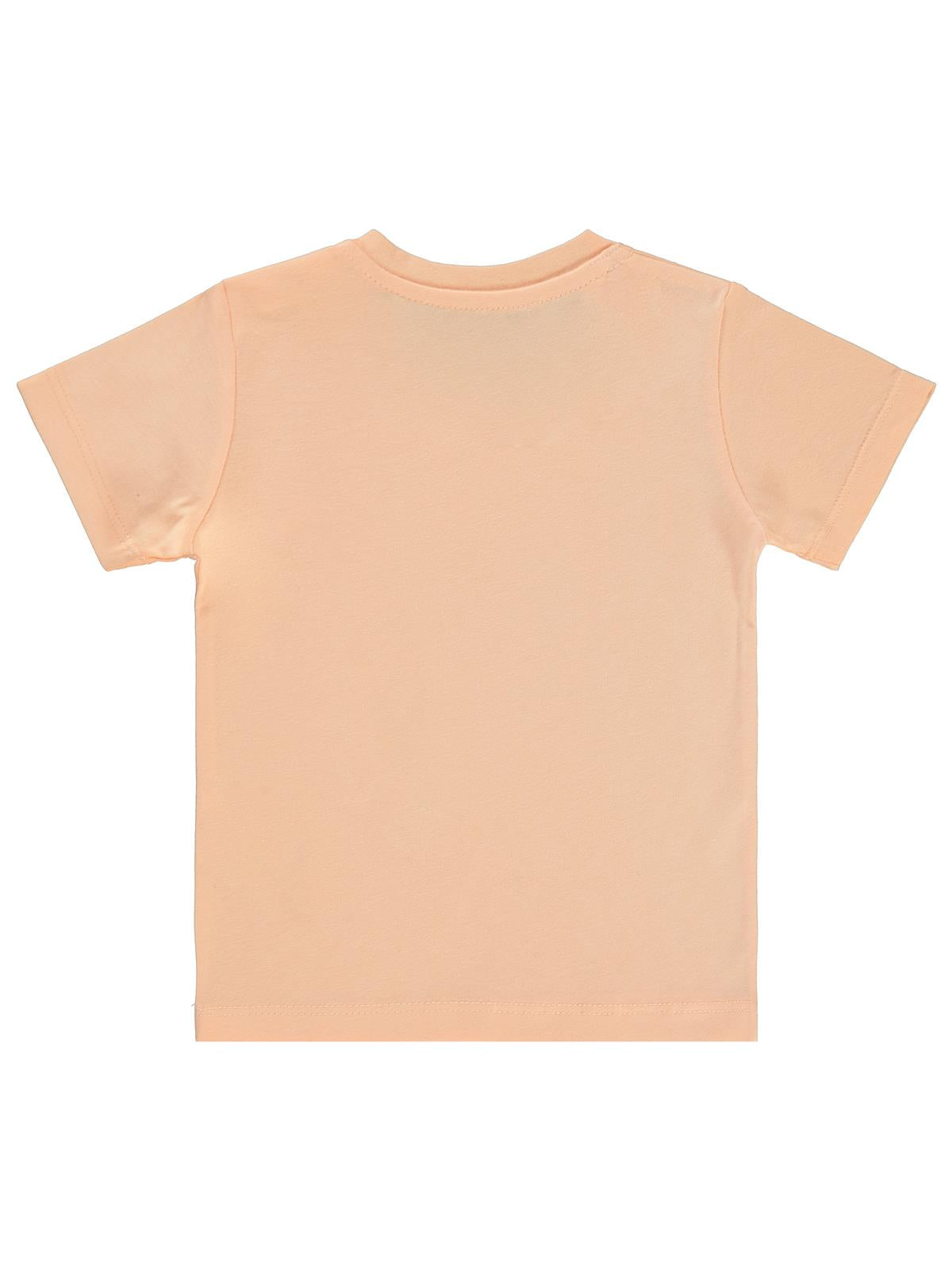 Civil Baby Nakışlı 6-18 Ay Tişört - Pudra