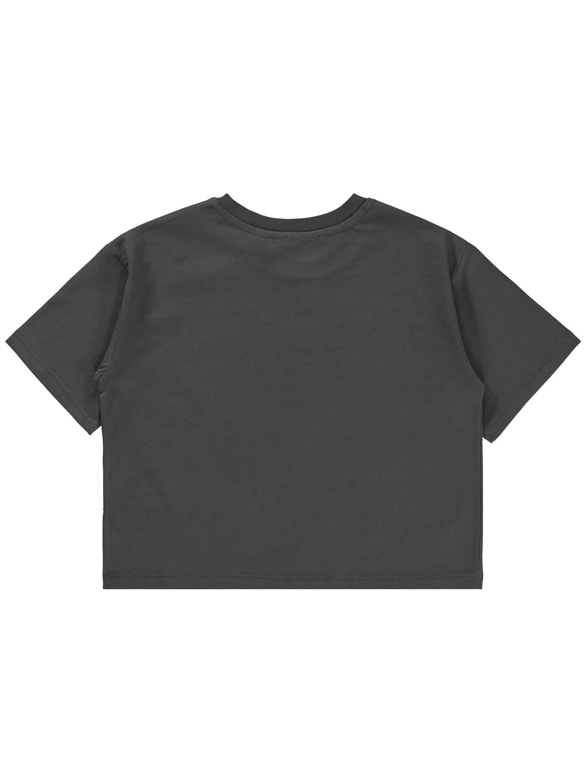 Lola Bunny 6-9 Yaş Tişört - Gri