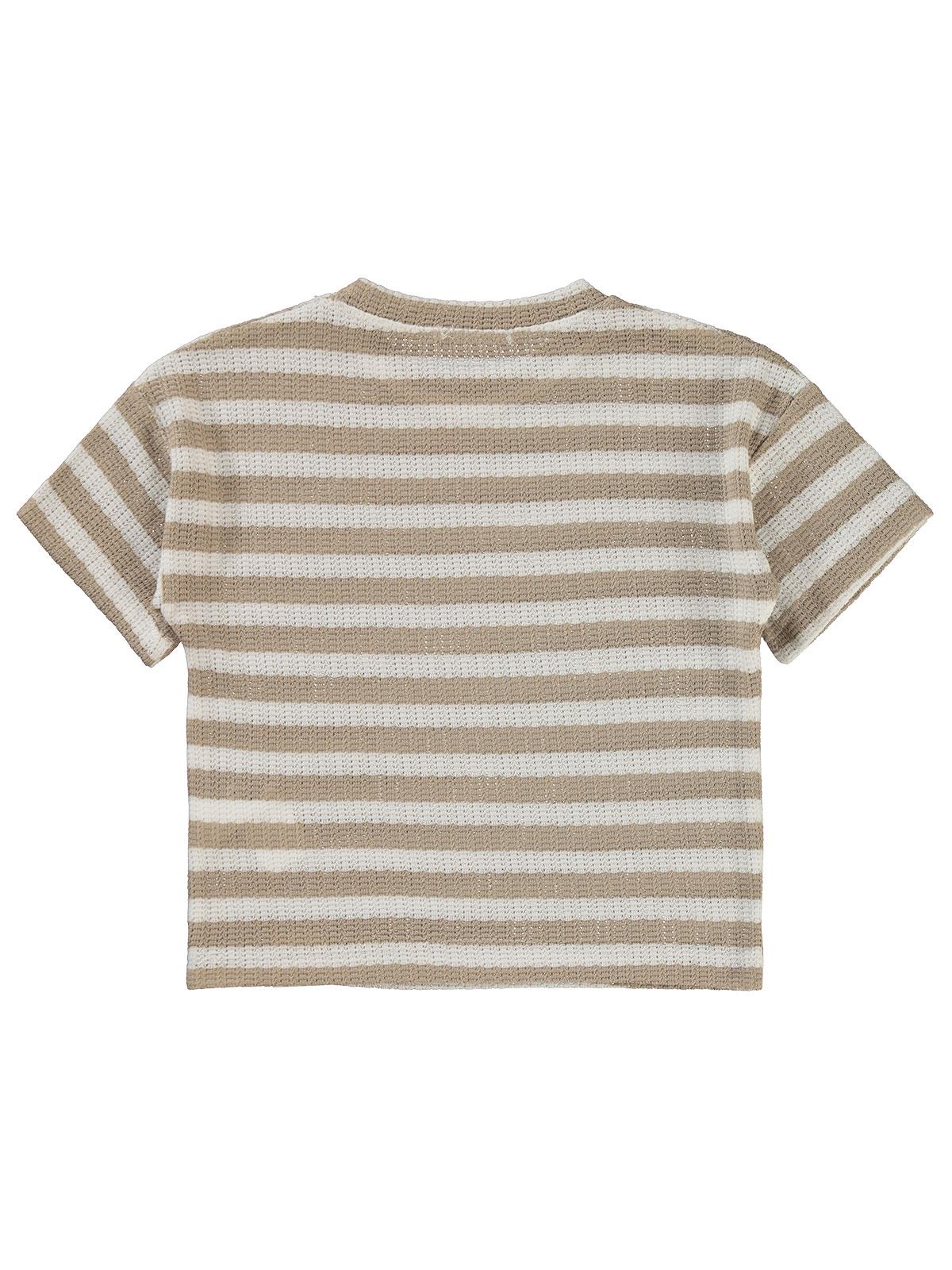 Civil Boys Çizgili 2-5 Yaş Tişört - Kahve