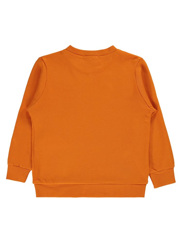 Civil Boys Aslan Baskılı 2-5 Yaş Sweatshirt - Turuncu