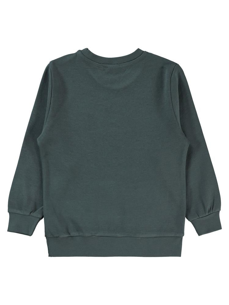 Civil Boys Panda Baskılı 2-5 Yaş Sweatshirt - Gri
