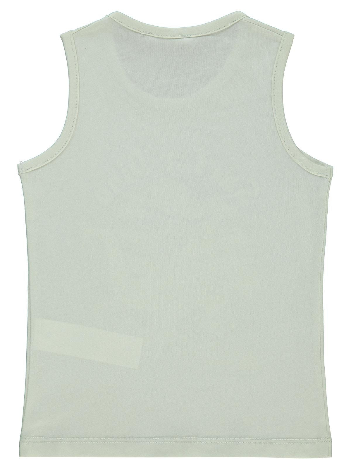 Civil Boys Surfer Dino Baskılı 2-5 Yaş Tişört - Gri